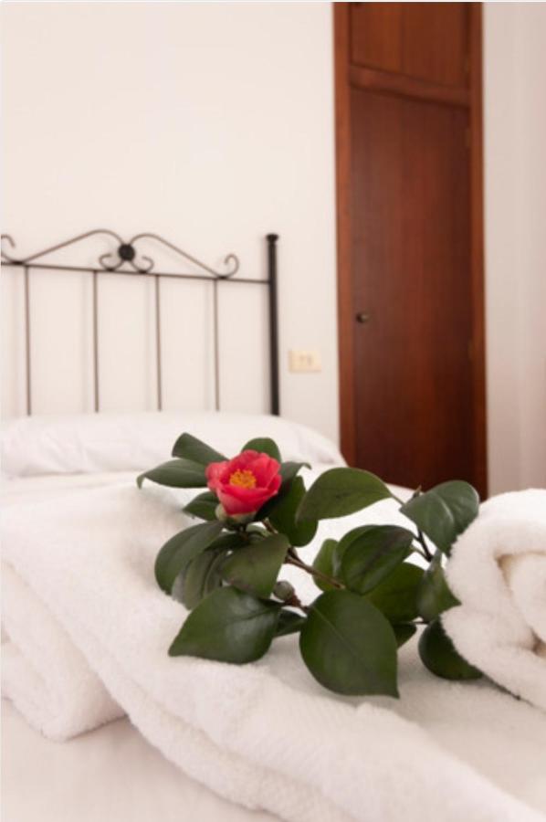 Hostal San Cristobal - Pontedeume Dış mekan fotoğraf