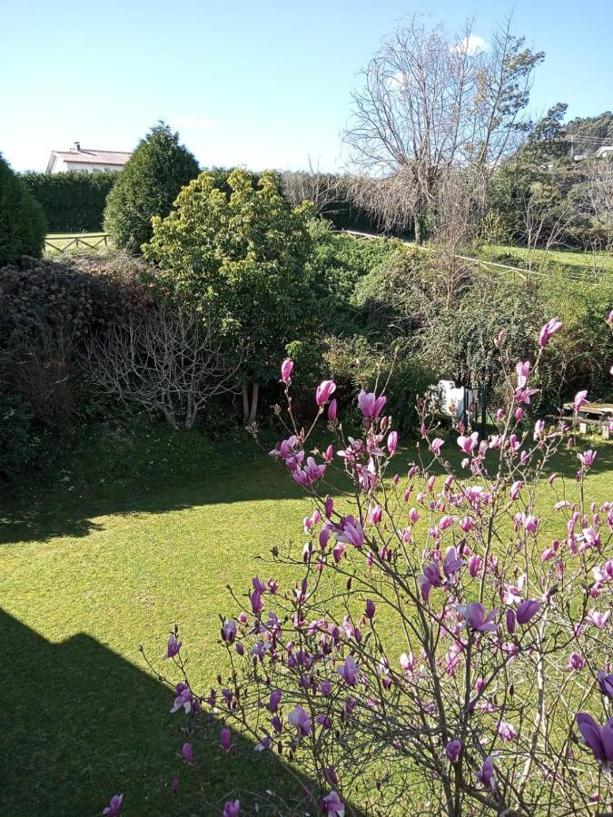 Hostal San Cristobal - Pontedeume Dış mekan fotoğraf