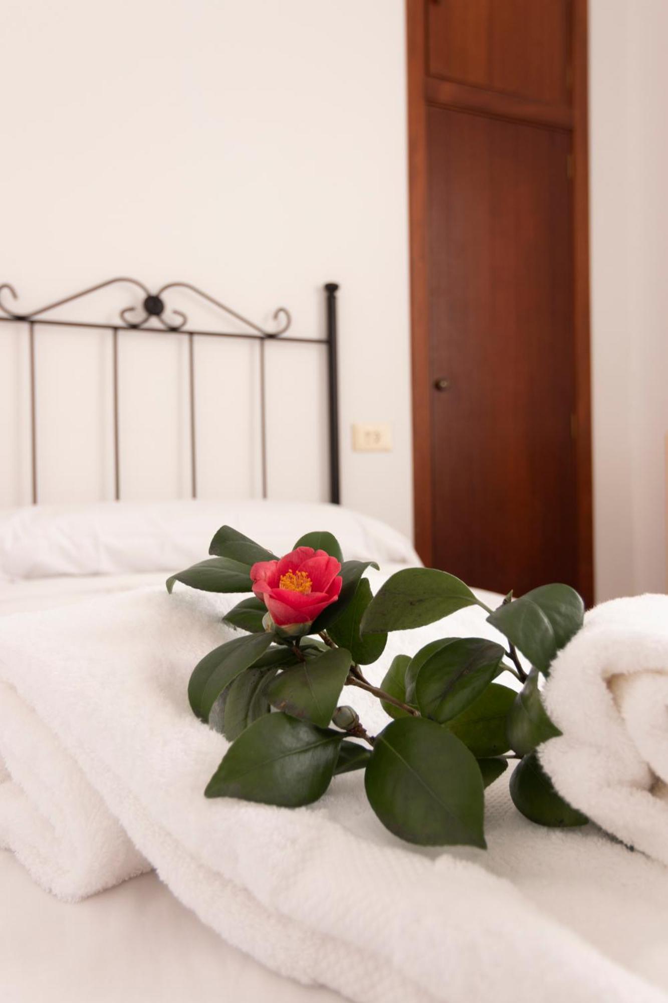 Hostal San Cristobal - Pontedeume Dış mekan fotoğraf